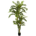 6' Curvy Parlor Palm Tree x 5 w/1666 Lvs