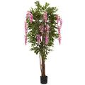 6.5' Wisteria Tree x 8 w/1584 Lvs
