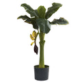 3' Banana Tree w/7 Lvs