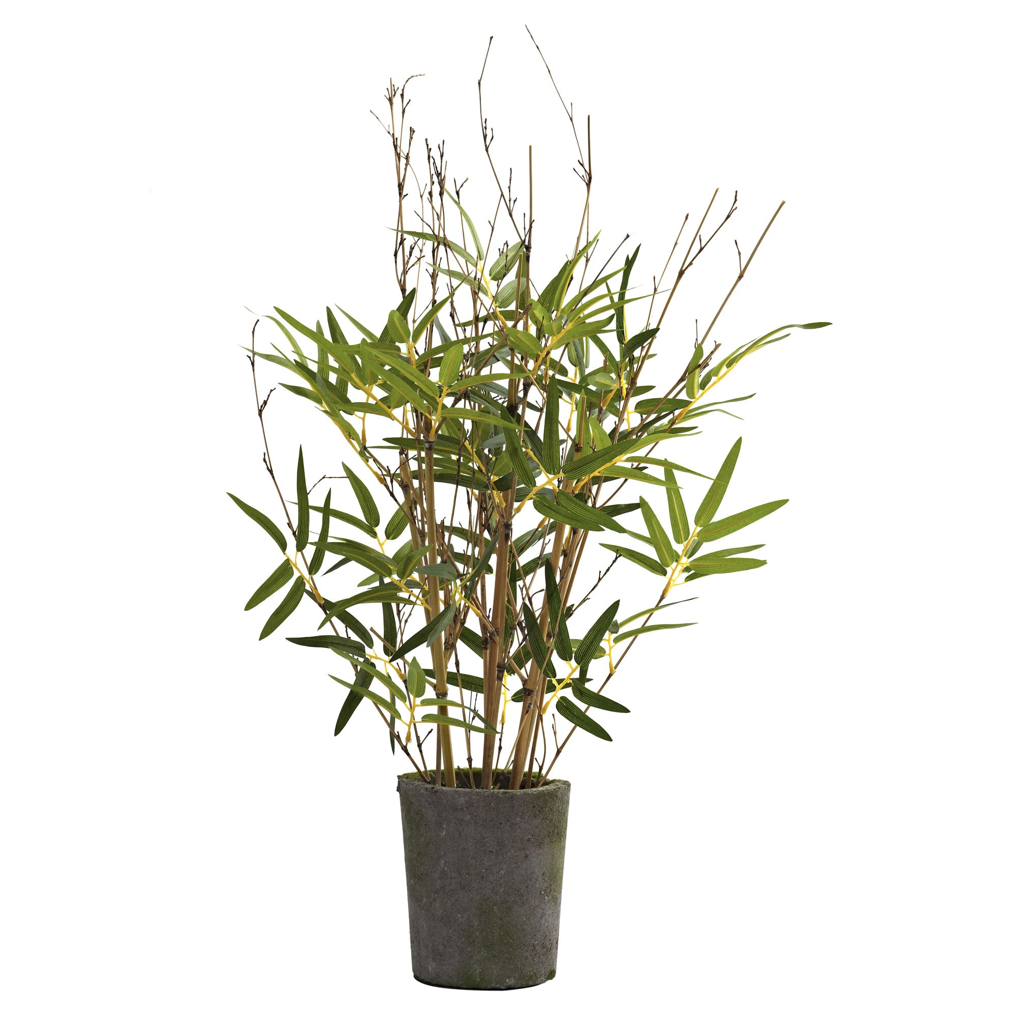 27" Bamboo Tree w/Cement Pot x 9 w/200 Lvs