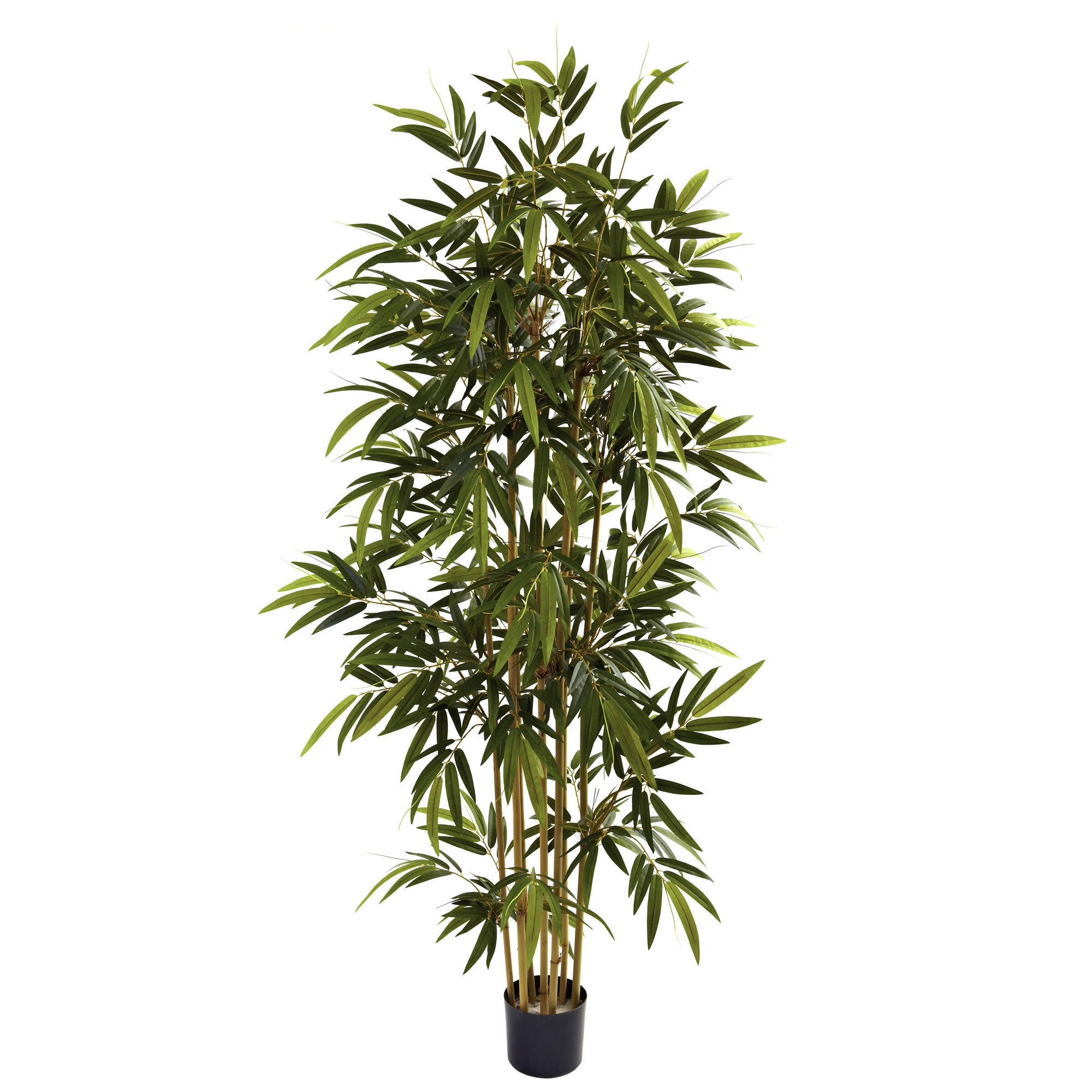 6' Bamboo Tree x 7 w/1024 Lvs
