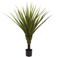 5' Spiked Agave Tree w/33 Lvs