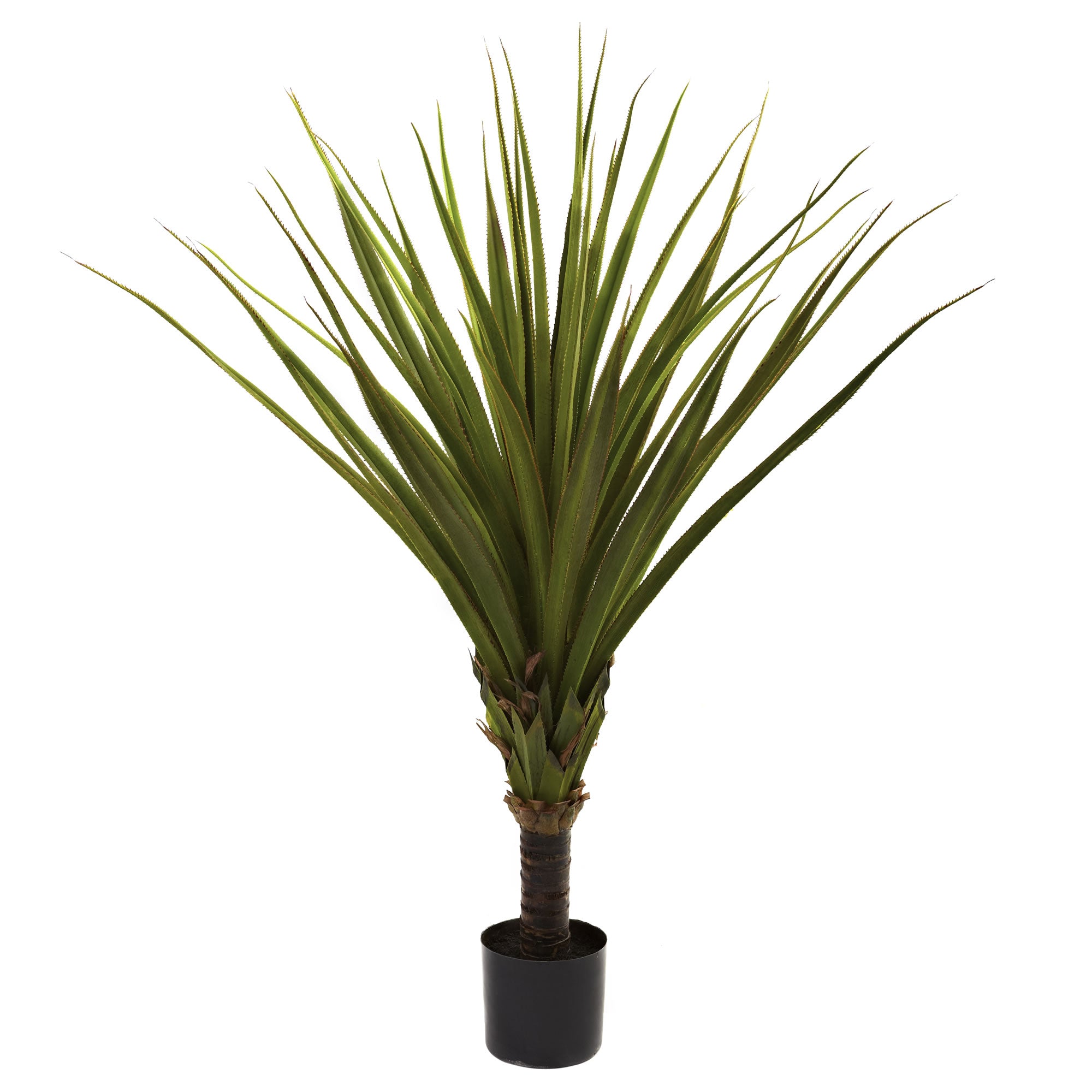 5' Spiked Agave Tree w/33 Lvs