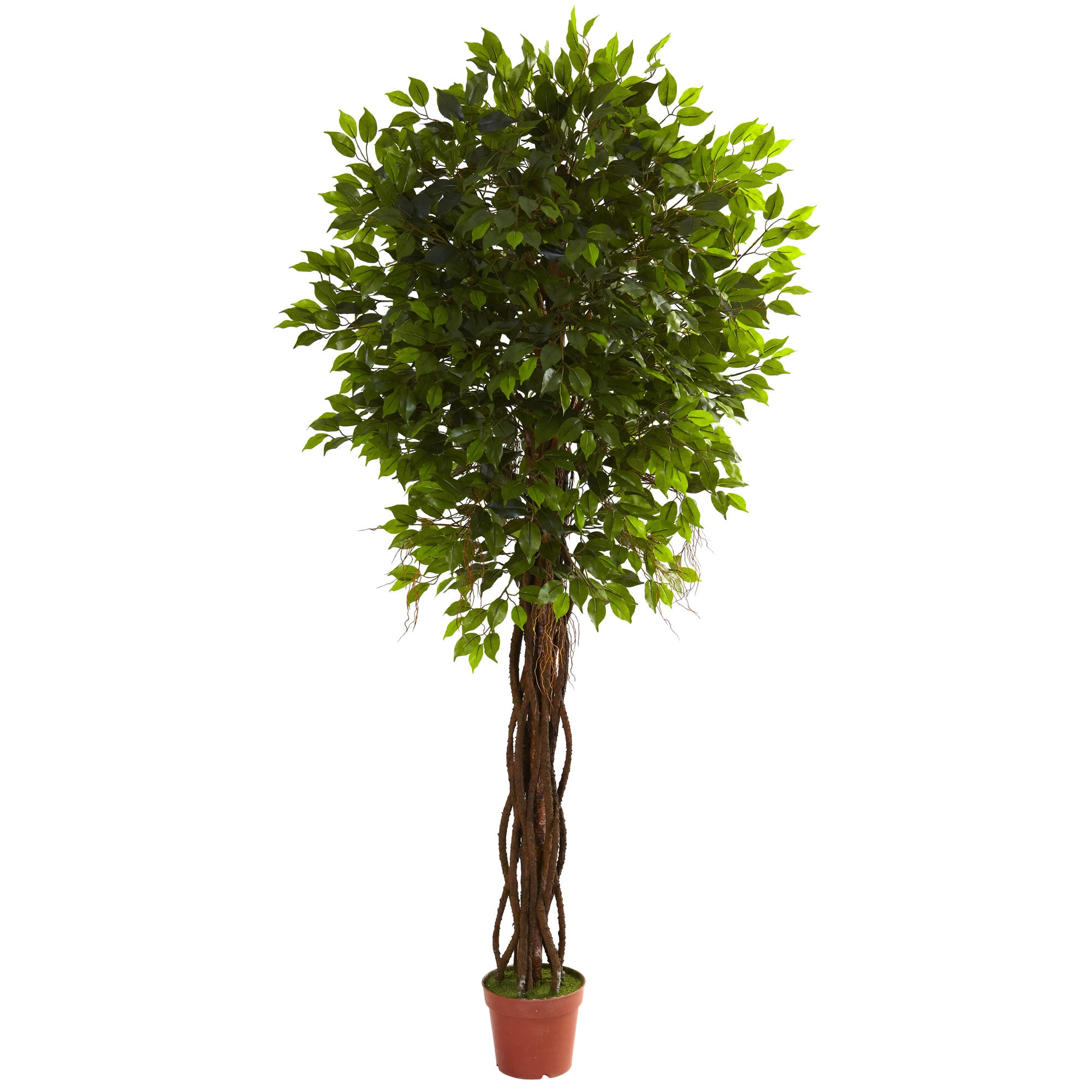 7.5' Ficus Tree UV Resistant w/1764 Lvs & 12 Vines (In/Out)