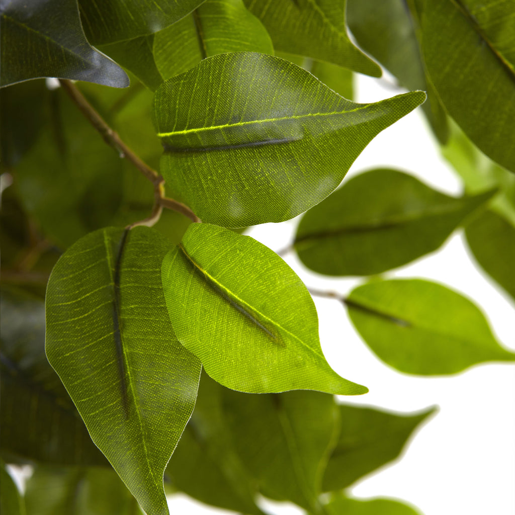 5.5' Ficus Tree UV Resistant x 5 w/840 Lvs (Indoor/Outdoor)
