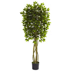 5.5' Ficus Tree UV Resistant x 5 w/840 Lvs (Indoor/Outdoor)