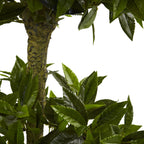 5' Triple Bay Leaf Top UV Resit w/1404 Lvs (Indoor/Outdoor)