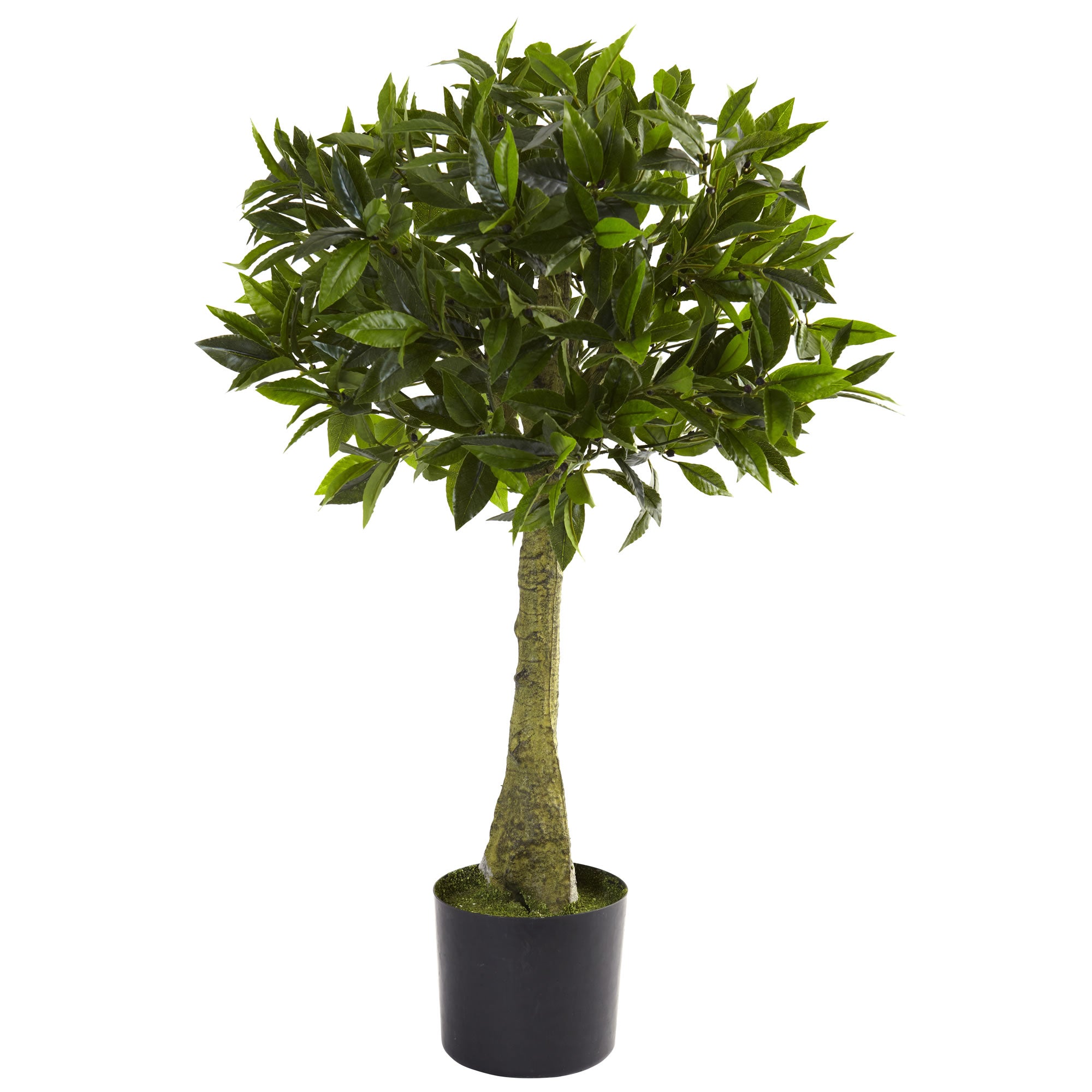 3' Bay Leaf Topiary UV Resistant w/604 Lvs (Indoor/Outdoor)