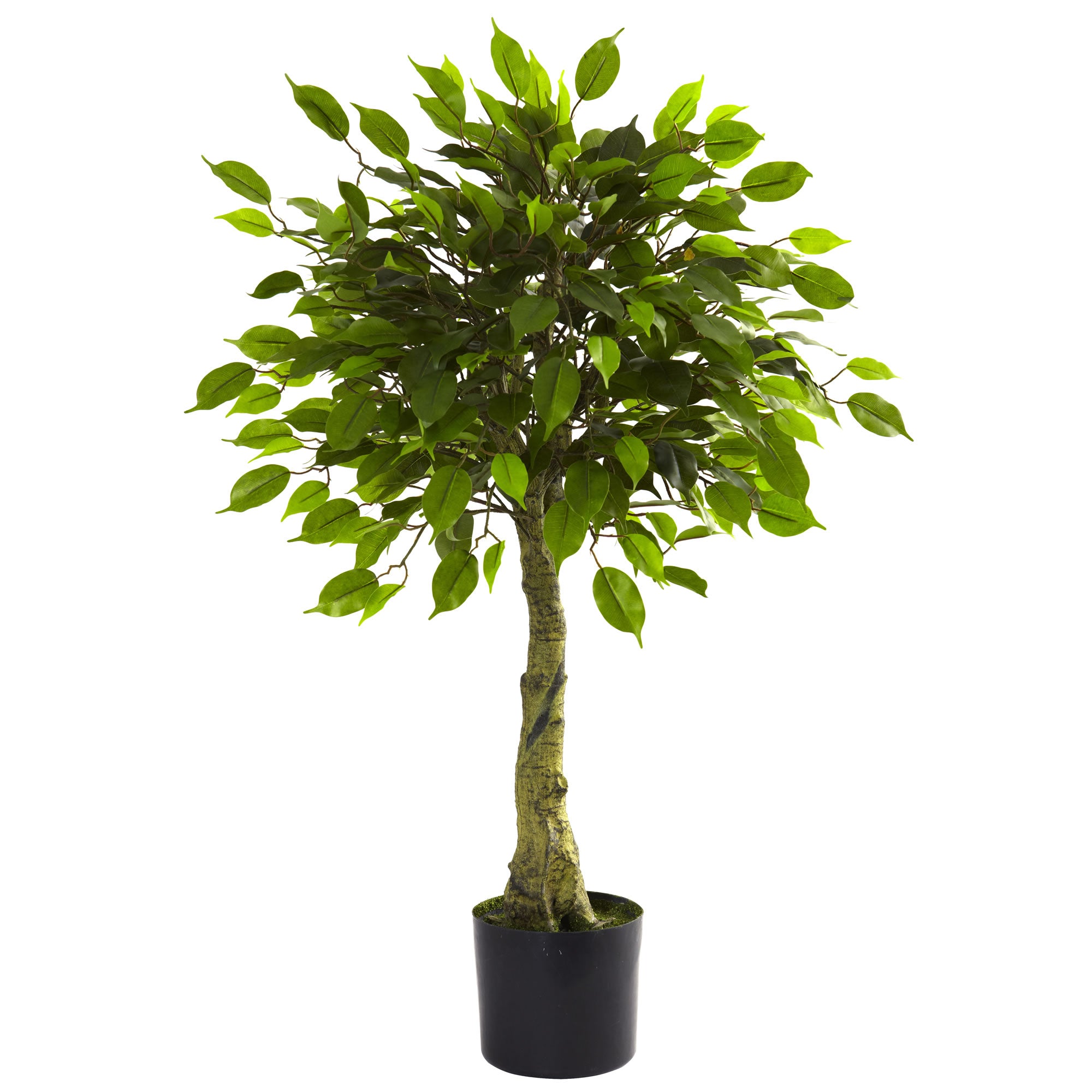 3' Ficus Tree UV Resistant w/504 Lvs(Indoor/Outdoor)