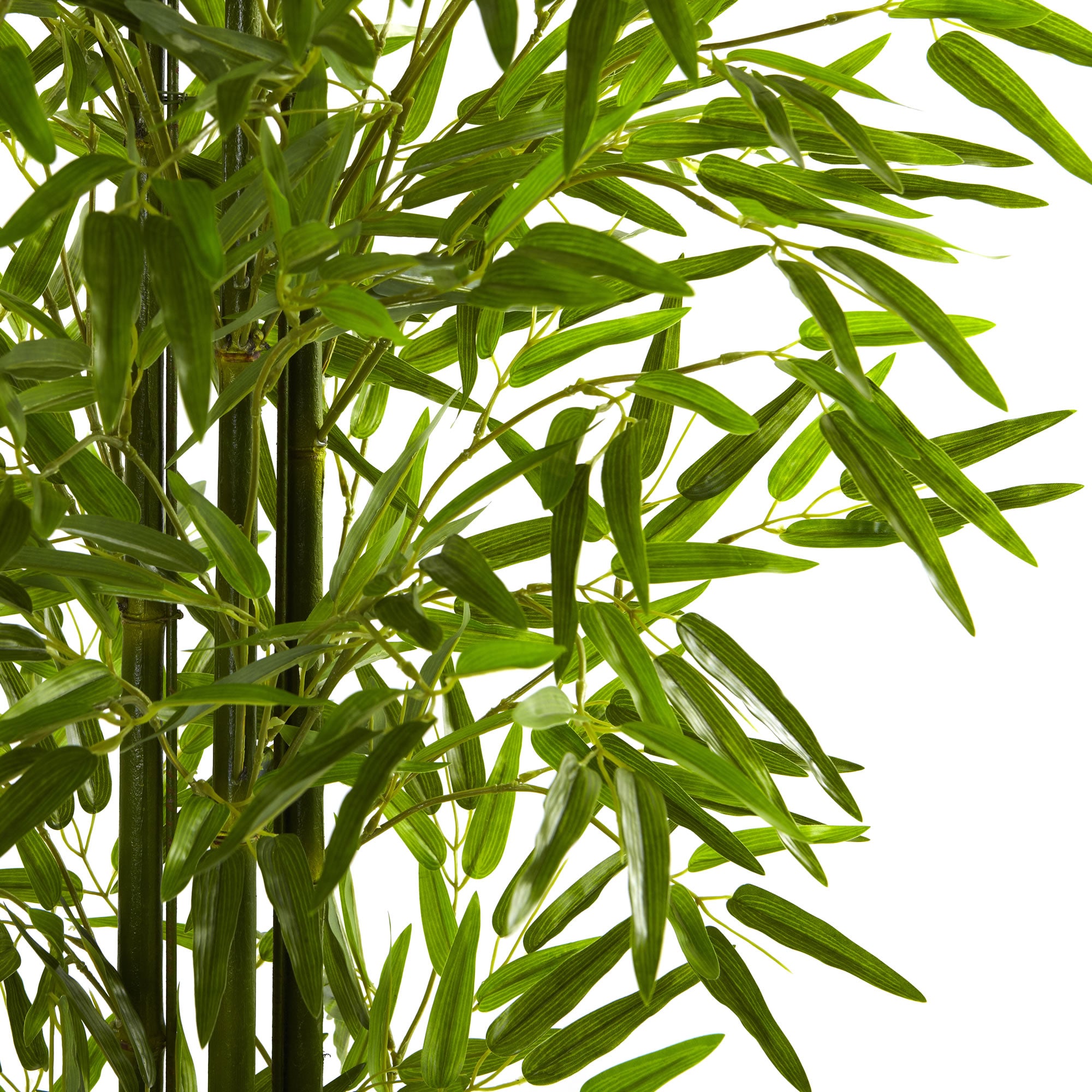 5' Bamboo Tree UV Resistant  x 3 w/880 Lvs (Indoor/Outdoor)