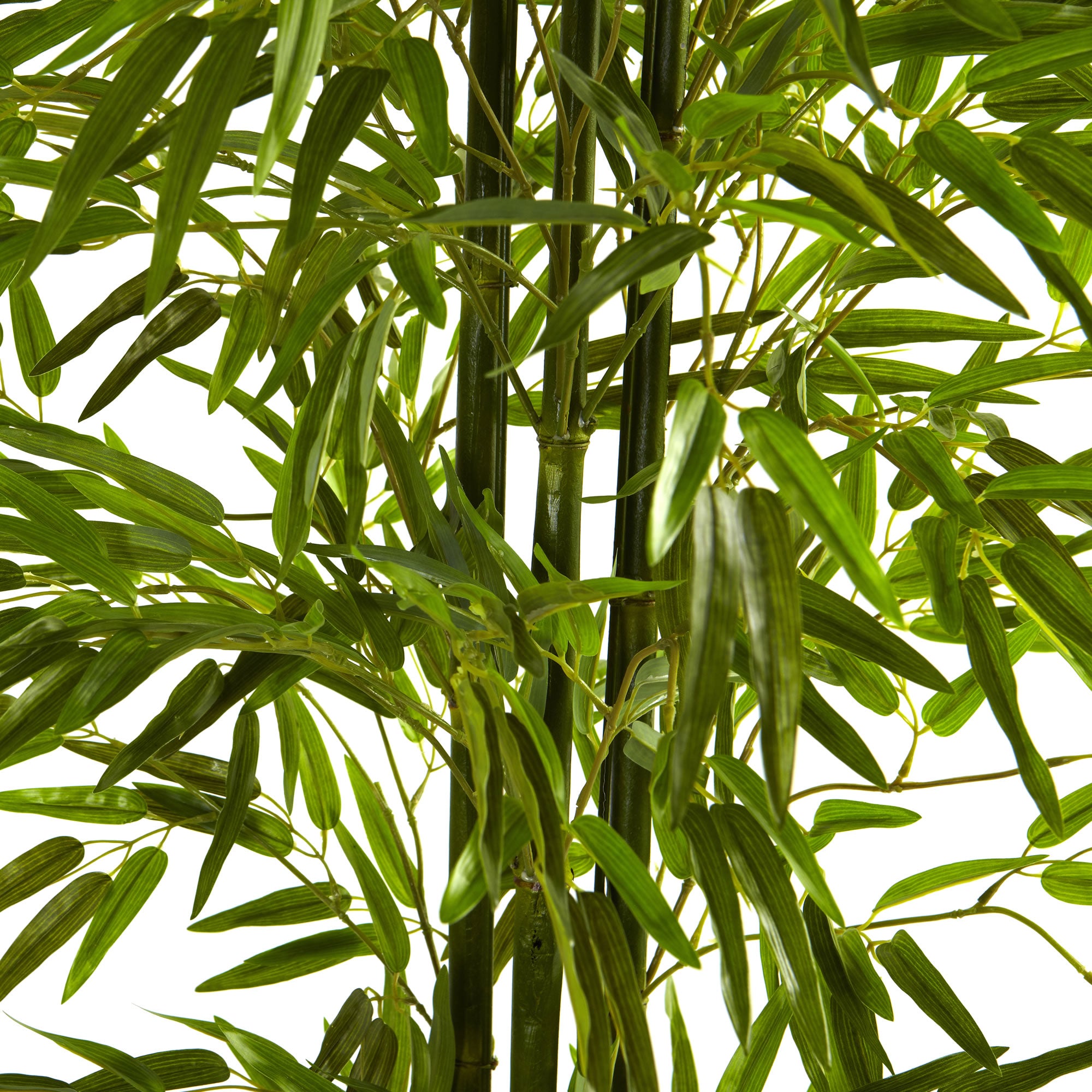 6' Bamboo Tree UV Resistant x 3 w/1280 Lvs (Indoor/Outdoor)