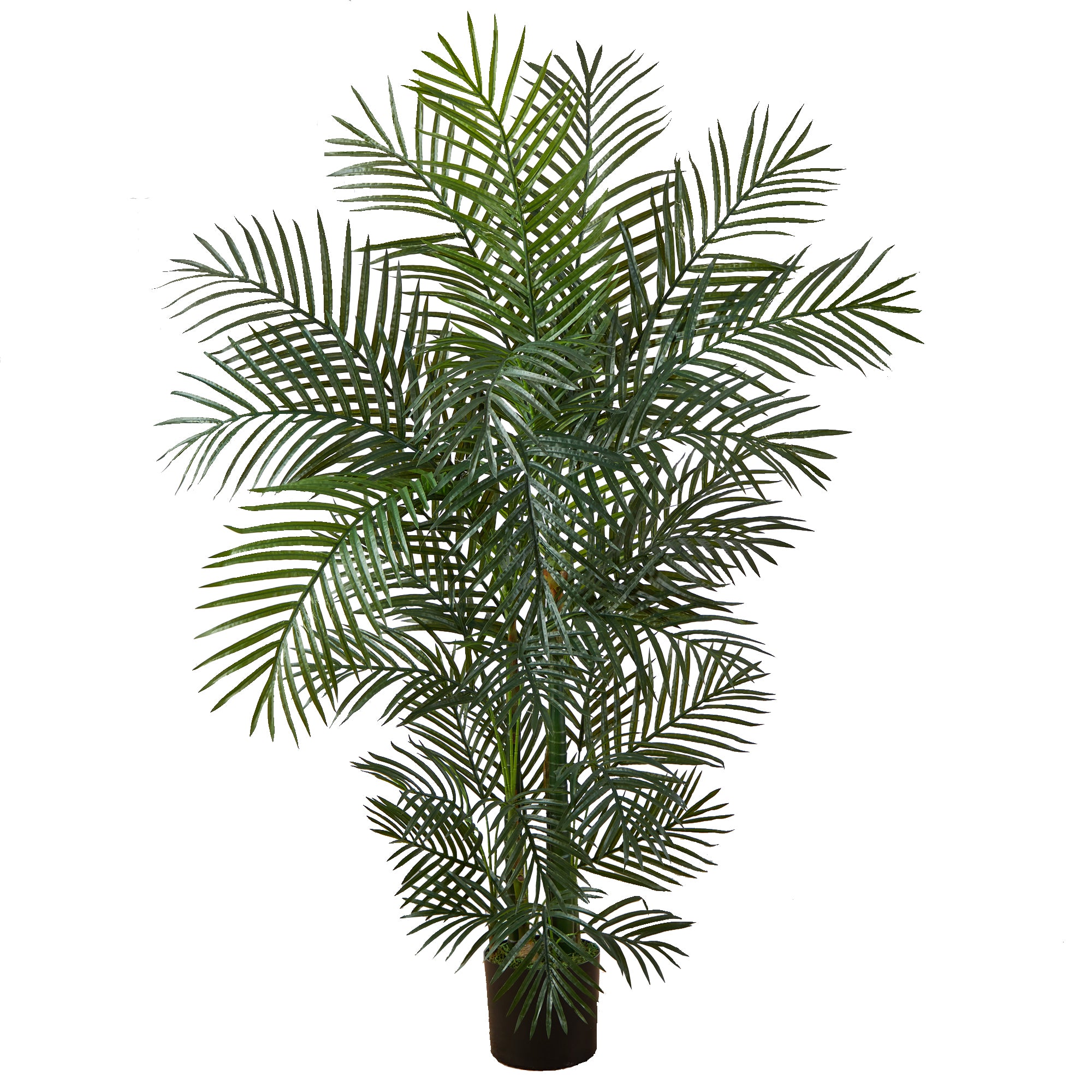 4.5' Areca Palm UV Resistant x 8 w/837 Lvs (Indoor/Outdoor)