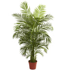 4.5' Areca Palm UV Resistant x 8 w/837 Lvs (Indoor/Outdoor)