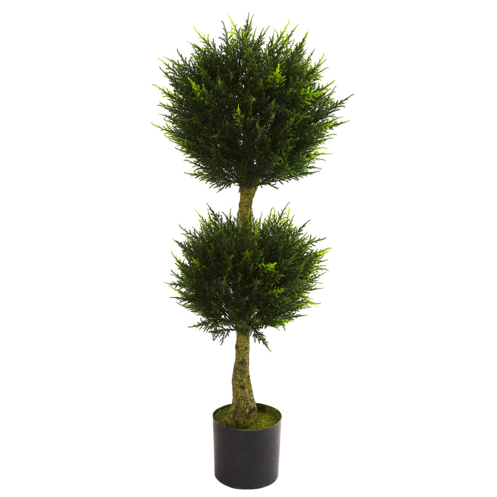 4' Double Ball Cypress UV Resit w/450 Lvs  (Indoor/Outdoor)