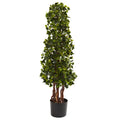 3.5' English Ivy UV Resist x 7w/1105 Lvs (Indoor/Outdoor)