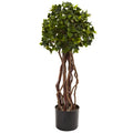 2.5' English Ivy Top UV Resist w/468 Lvs (Indoor/Outdoor)
