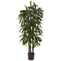 4' Raphis Palm Tree w/196 Lvs