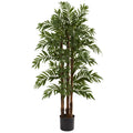4' Parlour Palm Tree x 3 w/803 Lvs