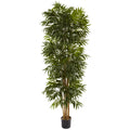 7.5' Phoenix Palm Tree x 12 w/1988 Lvs