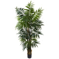 6' Bulb Areca Palm Tree w/534 Lvs