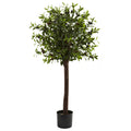 4' Olive Topiary Tree w/1056 Lvs
