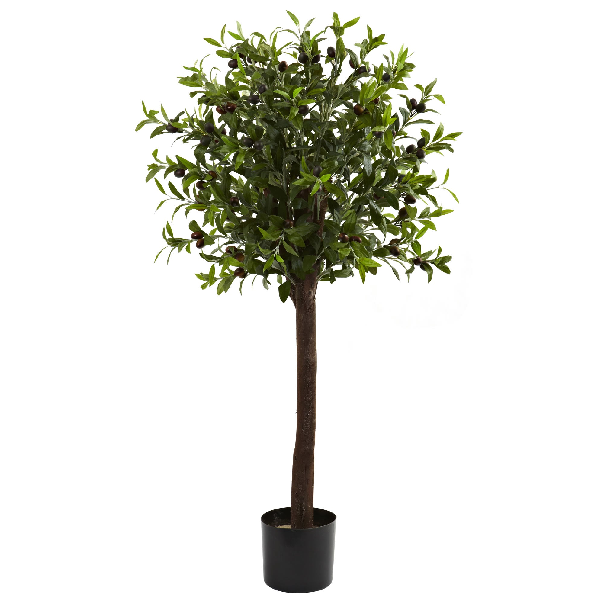 4' Olive Topiary Tree w/1056 Lvs