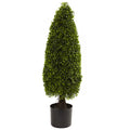 3' Boxwood Tower Top UV Resist w/419 Lvs (Indoor/Outdoor)