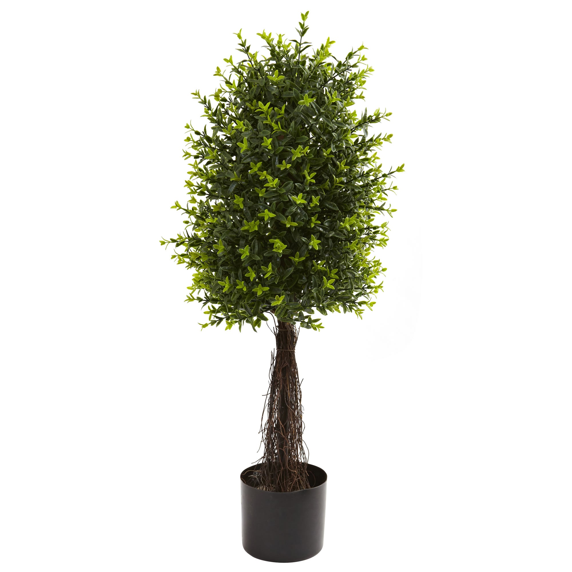 35'' Ixora Topiary UV Resistant w/630 Lvs (Indoor/Outdoor)
