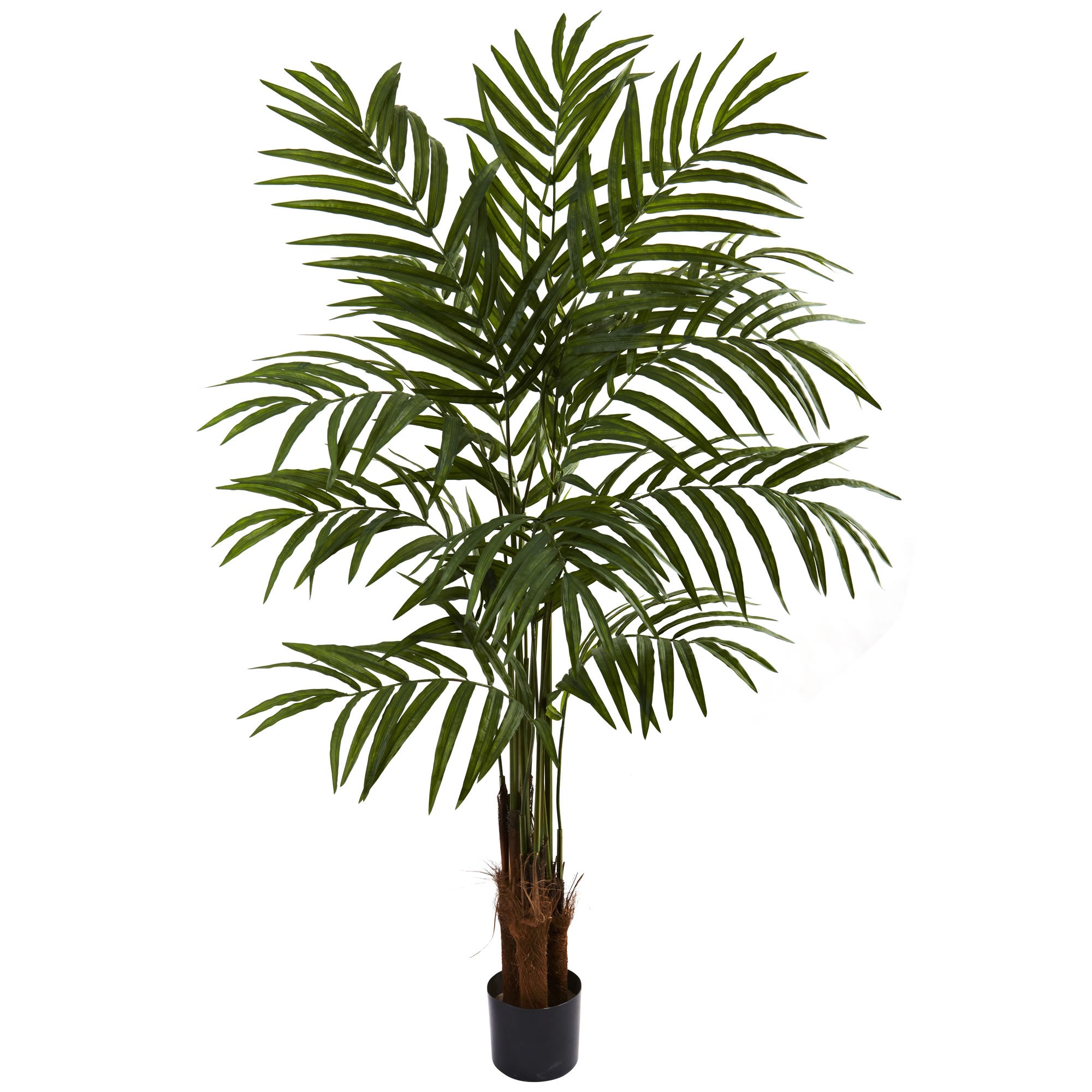 5' Big Palm Tree x 3 w/270 Lvs