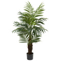 4' Areca Palm Tree w/360 Lvs