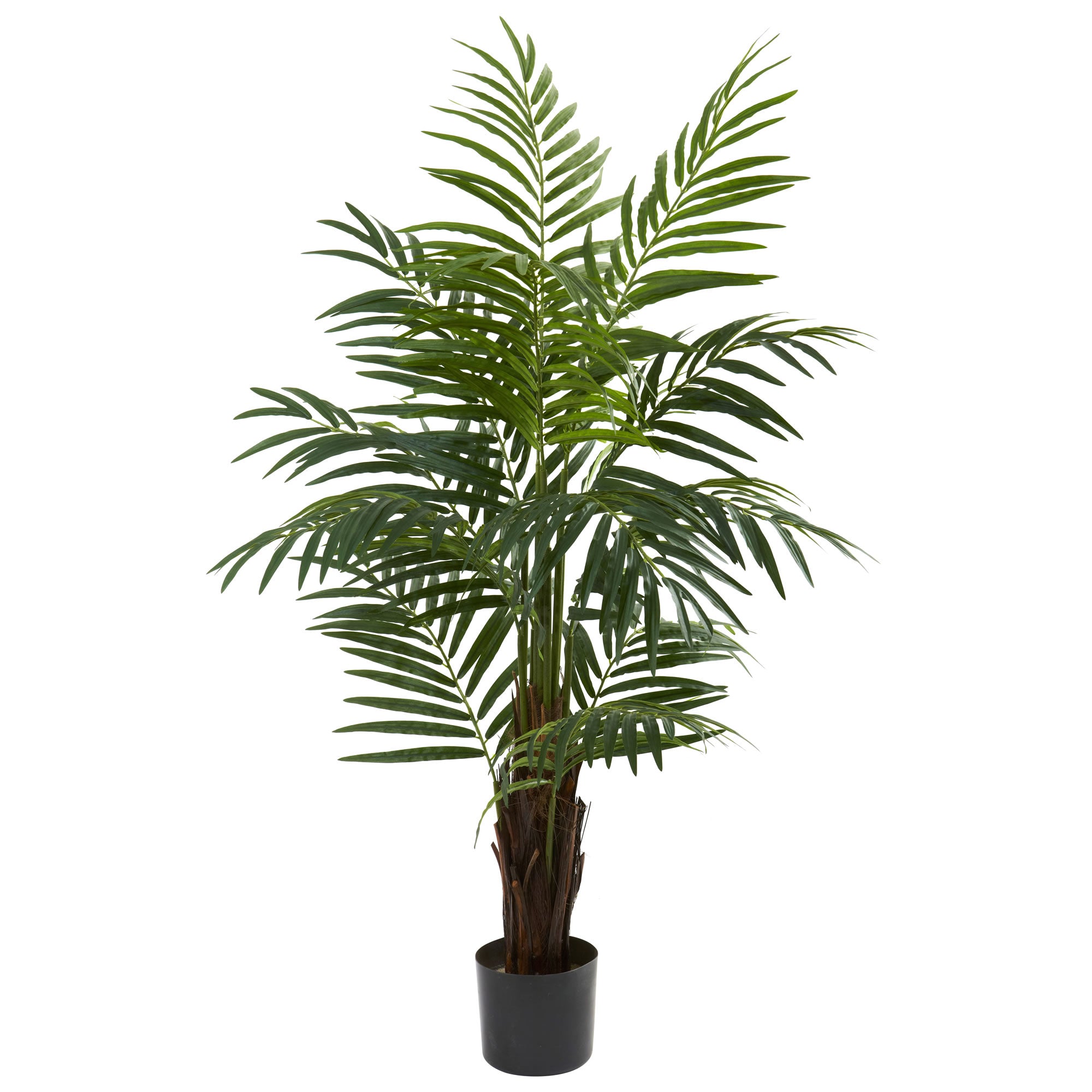 4' Areca Palm Tree w/360 Lvs