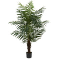 5' Areca Palm Tree w/486 Lvs