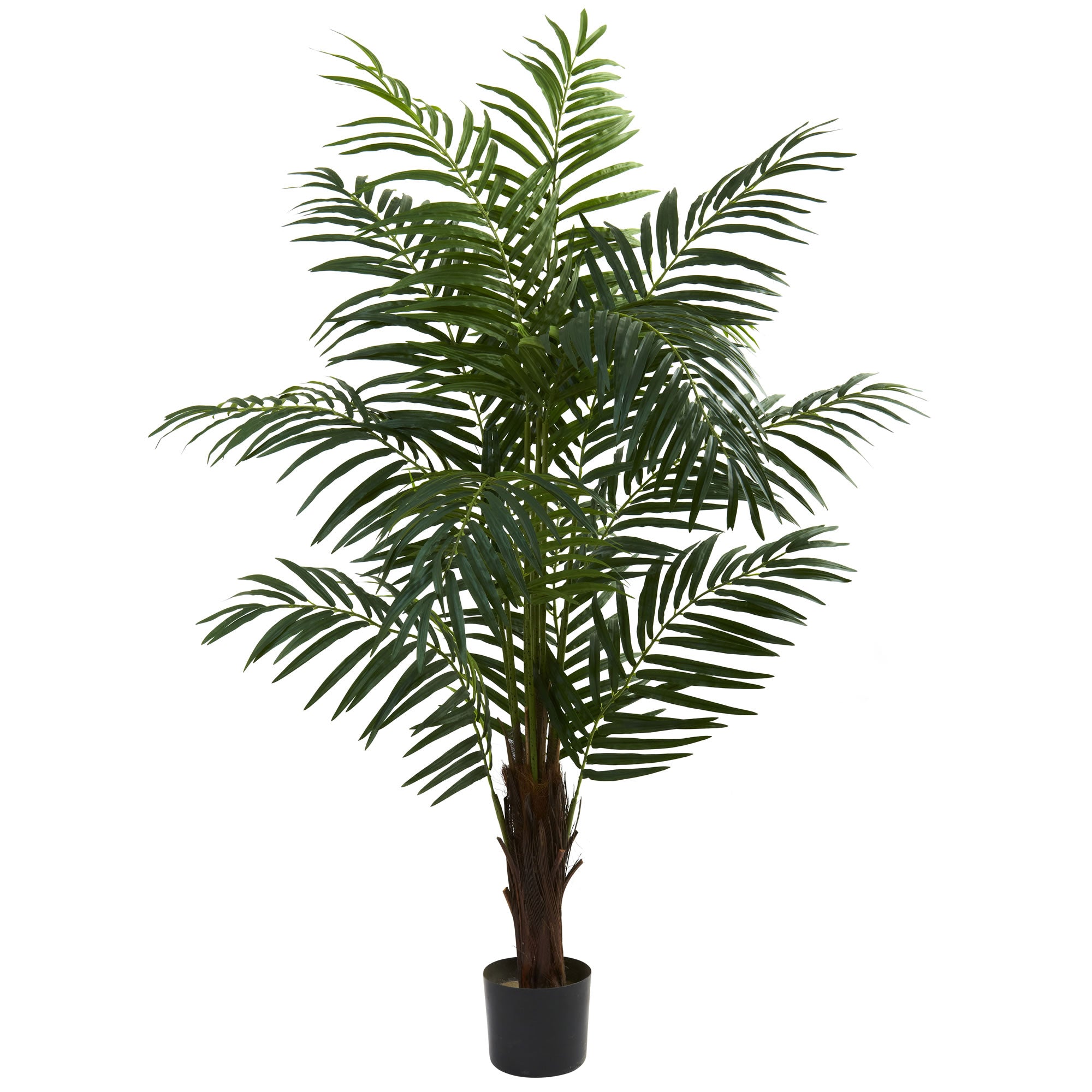 5' Areca Palm Tree w/486 Lvs