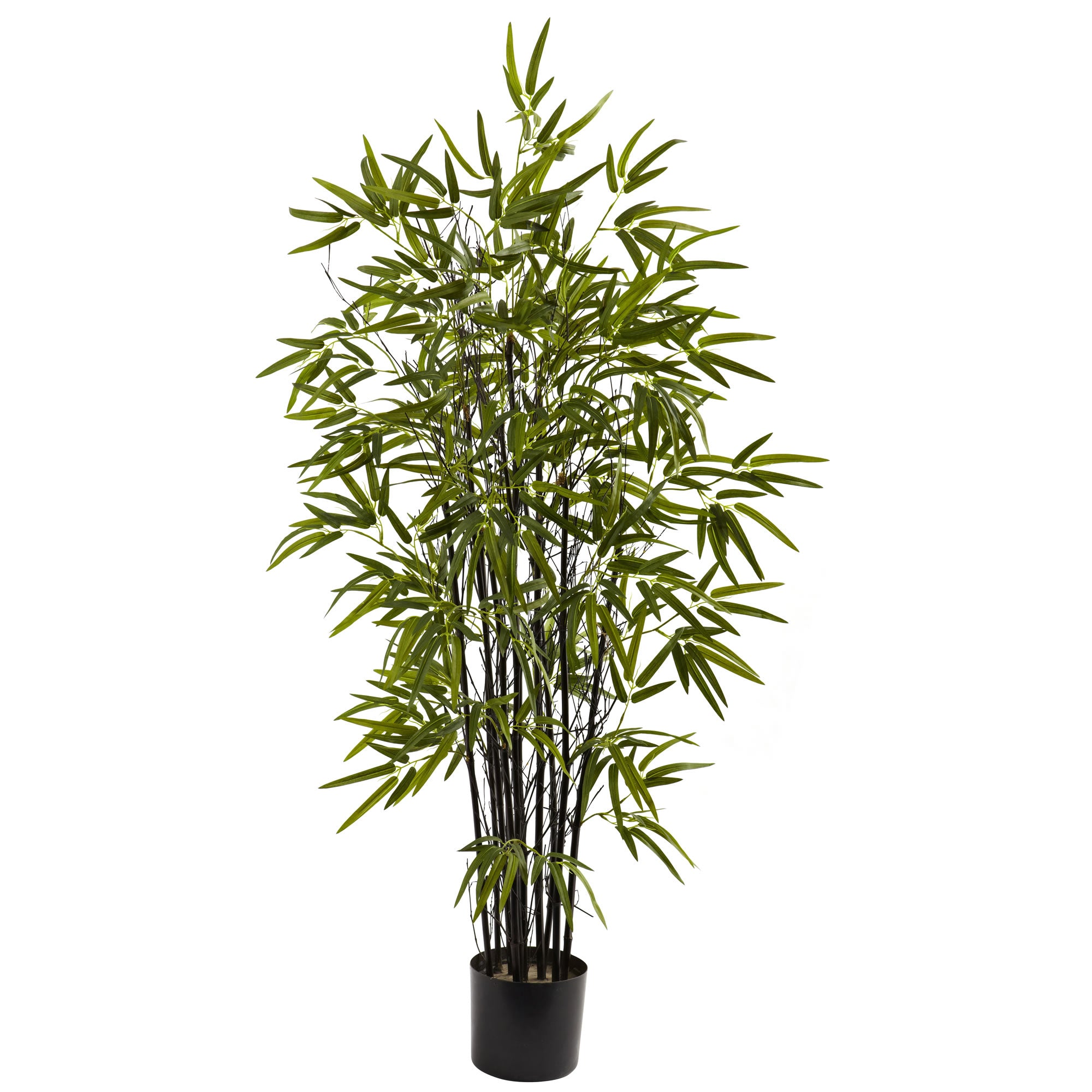 4' Black Bamboo Tree x 10 w/588 Lvs