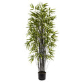 5' Black Bamboo Tree x 13 w/744 Lvs