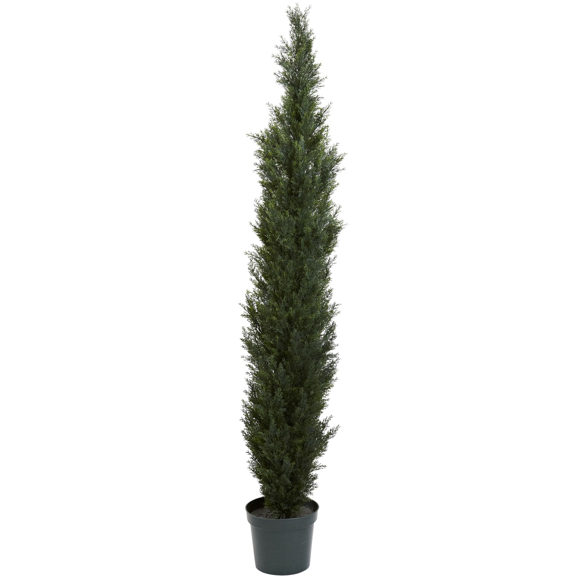 7' Mini Cedar Pine Tree w/3614 Tips (indoor/Outdoor)