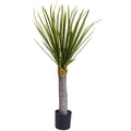 3' Yucca w/699 Lvs