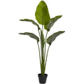 60" Travelers Palm Tree w/6 Lvs UV Resist (Indoor/Outdoor)