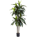 5' Dracaena Plant w/58 Lvs UV Resistant(Indoor/Outdoor)