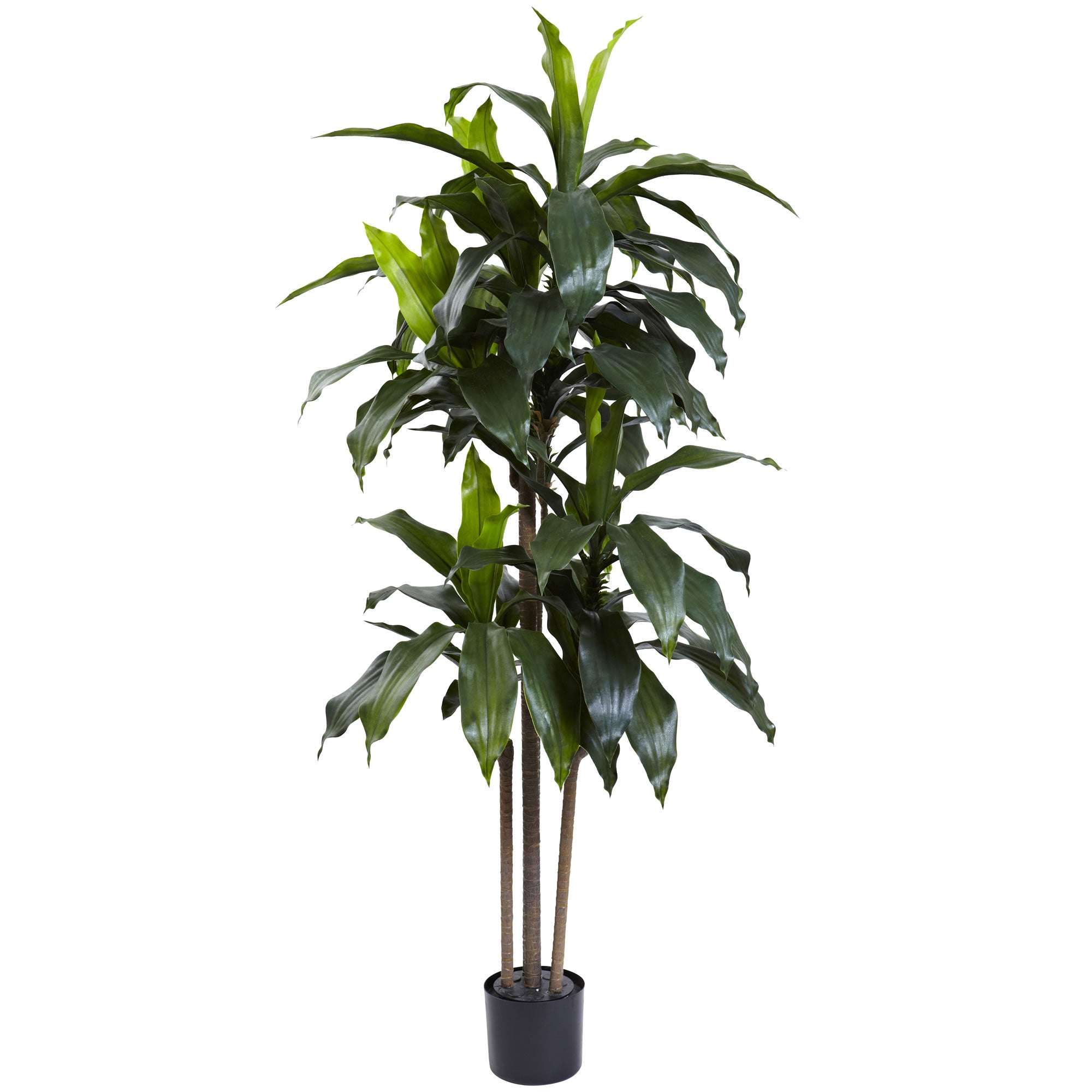 5' Dracaena Plant w/58 Lvs UV Resistant(Indoor/Outdoor)