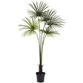 7' Fan Palm Tree UV Resistant w/150 Lvs (Indoor/Outdoor)