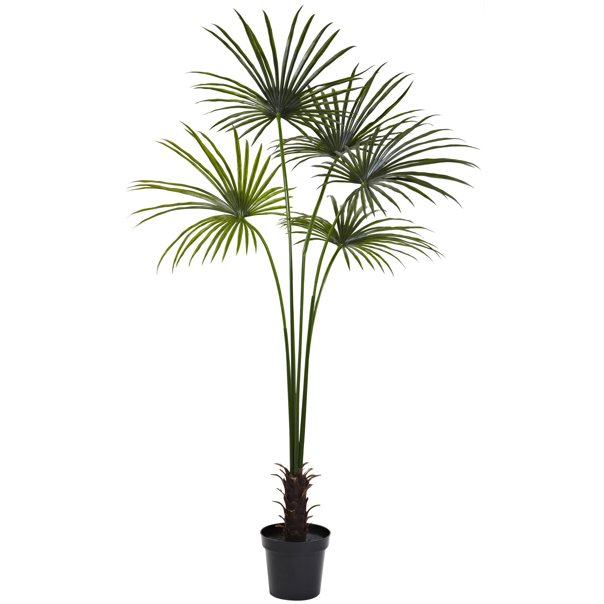 7' Fan Palm Tree UV Resistant w/150 Lvs (Indoor/Outdoor)