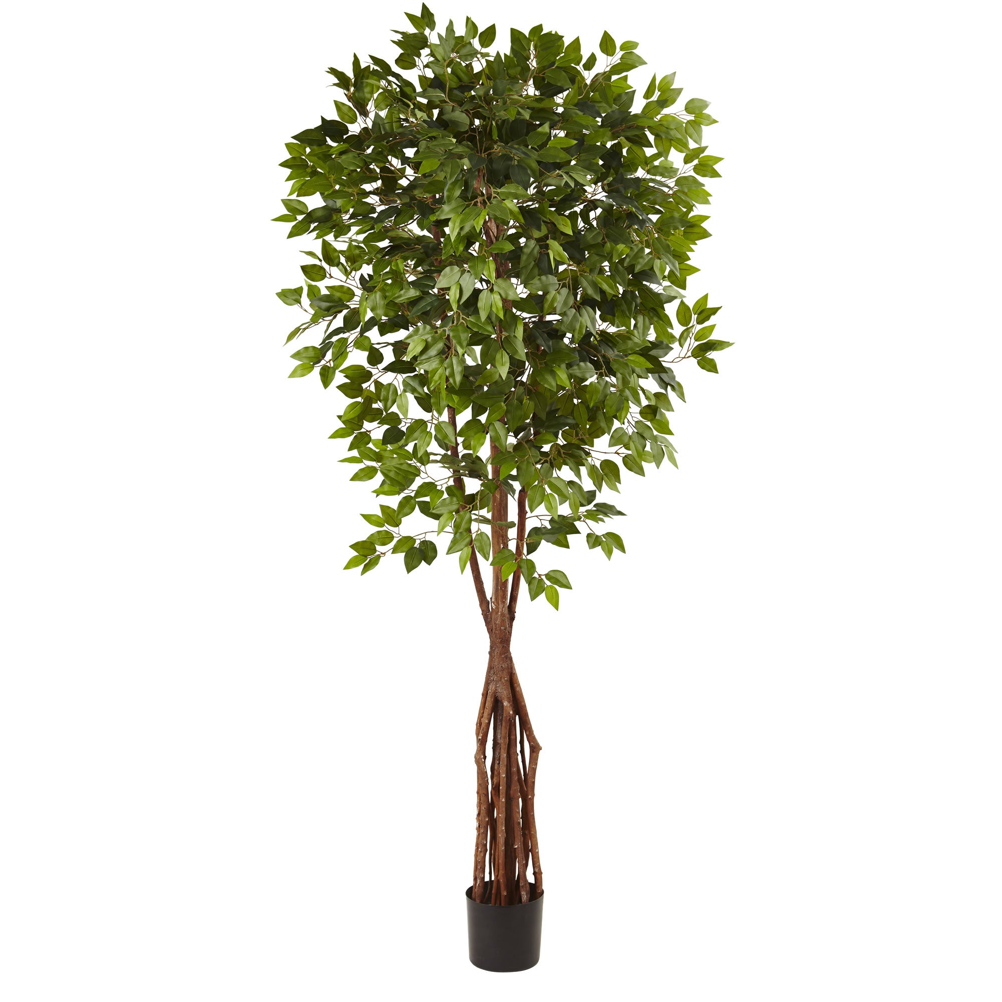 7.5' Super Deluxe Ficus Tree x 4 w/1386 Lvs.