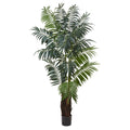 7.5'  Bulb Areca Palm Tree x 16 w/566 Lvs.