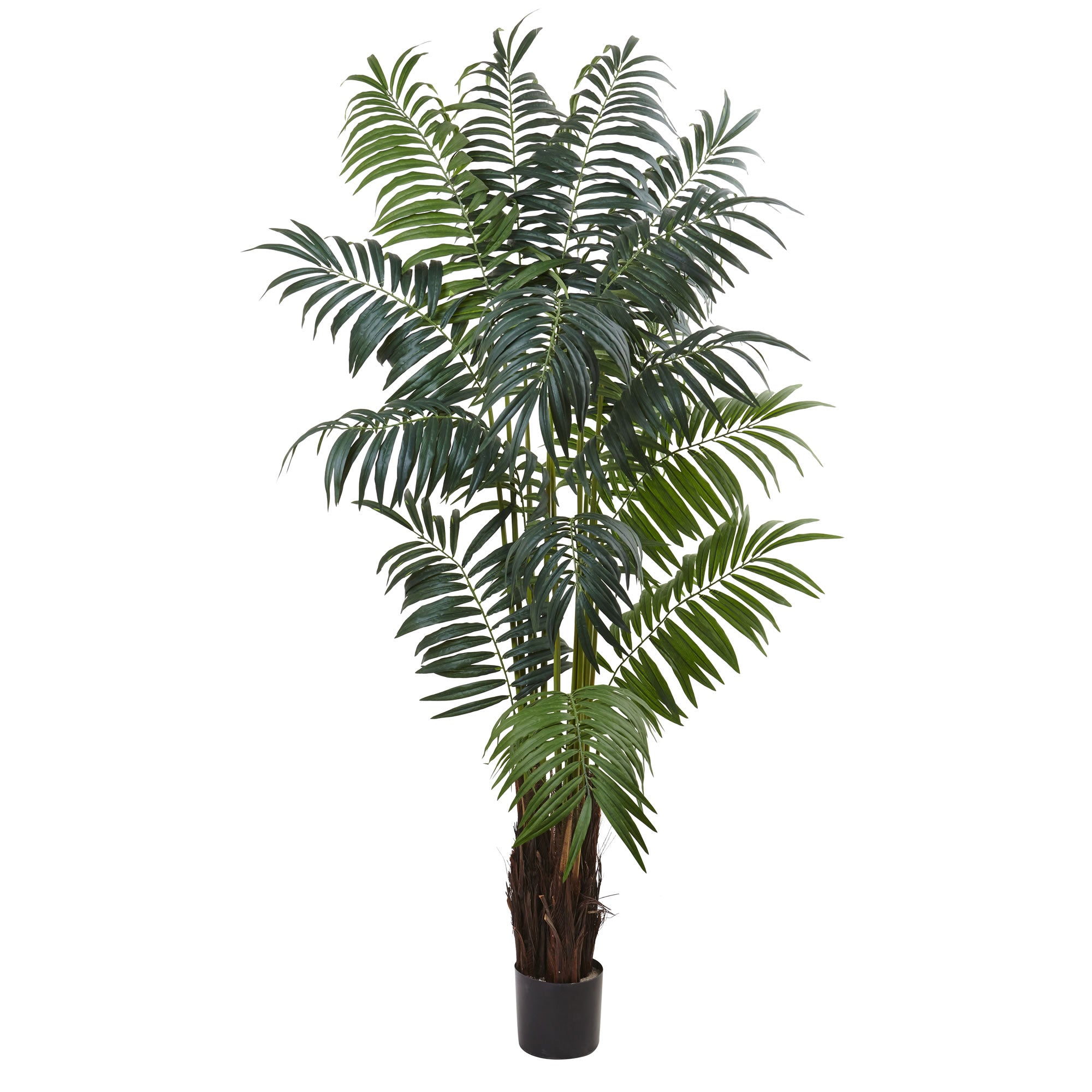 7.5'  Bulb Areca Palm Tree x 16 w/566 Lvs.
