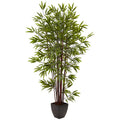 6' Bamboo Tree x 15 w/Planter