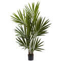 4' Kentia Palm Tree x 6 w/104 Lvs
