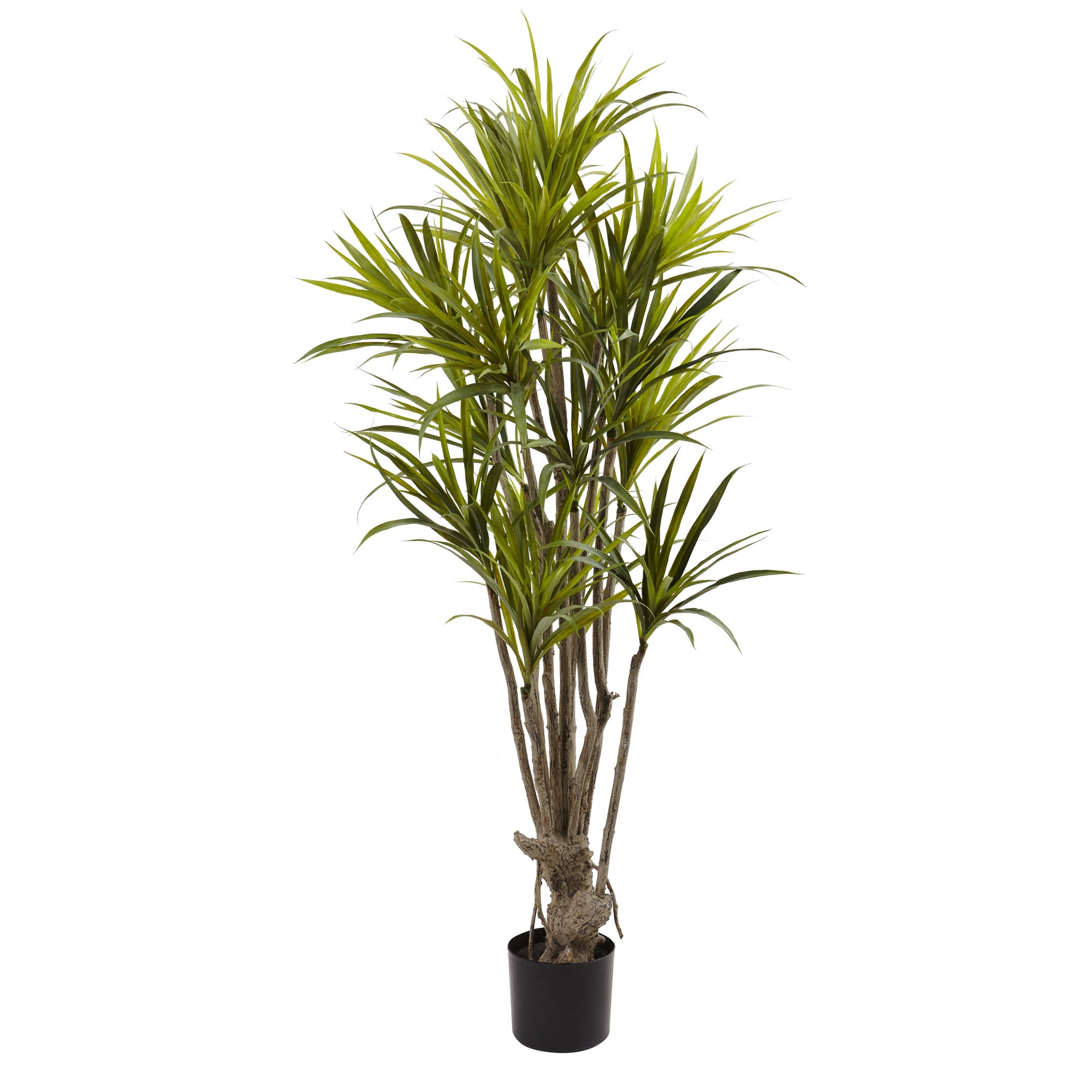 5' Dracaena Tree w/393 Lvs