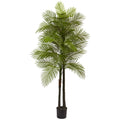 7' Double Robellini Palm Tree UV Resistant (Indoor/Outdoor)