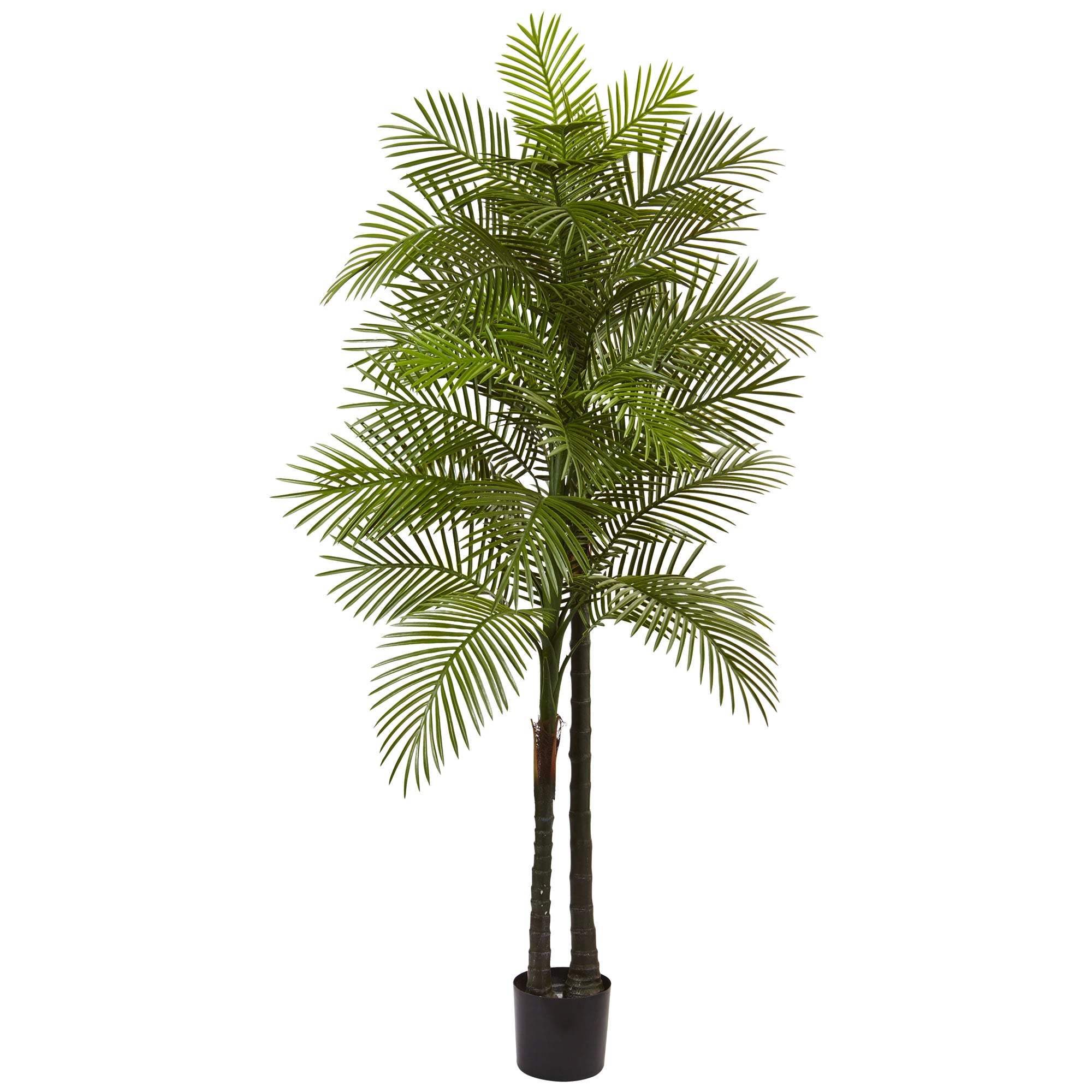 7' Double Robellini Palm Tree UV Resistant (Indoor/Outdoor)